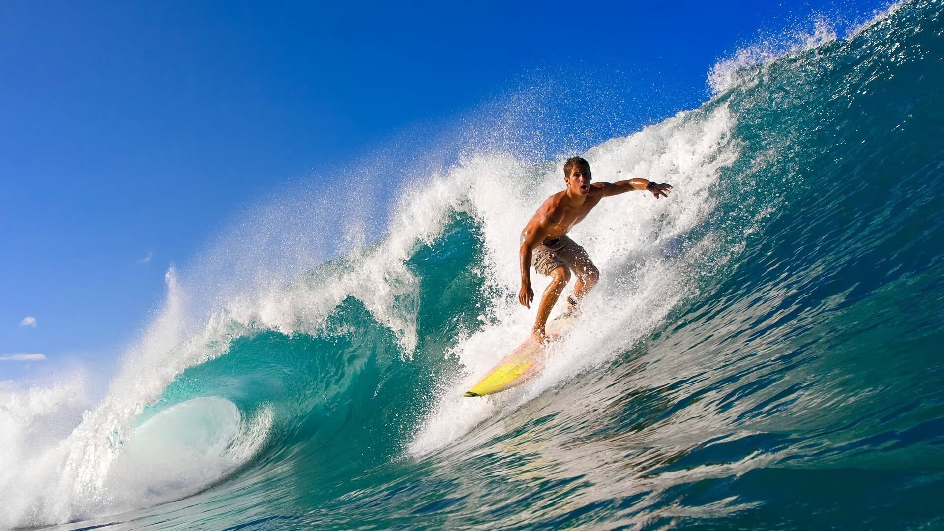 世界杯“女裁判执法男足正赛”被载入足球史册